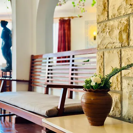 Bela 알부페이라