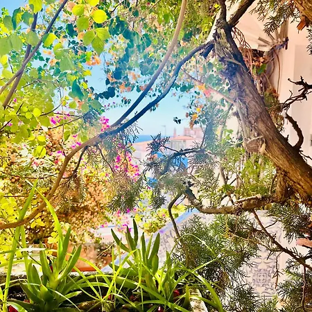 Pensjonat Bela Albufeira